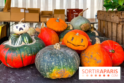 Automne au Potager du Roi - Citrouilles - Halloween