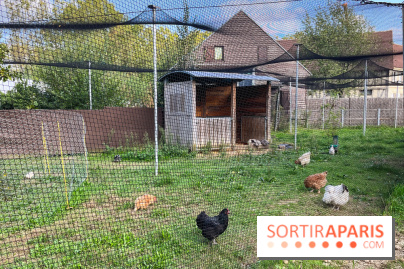La ferme pédagogique du parc des Chanteraines - image00046