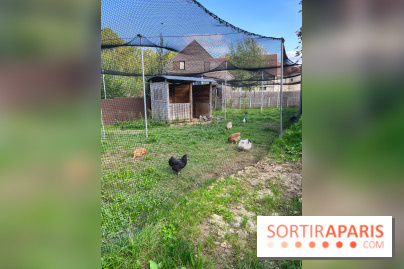 La ferme pédagogique du parc des Chanteraines - image00047