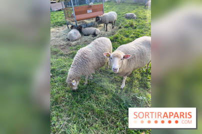 La ferme pédagogique du parc des Chanteraines - image00042