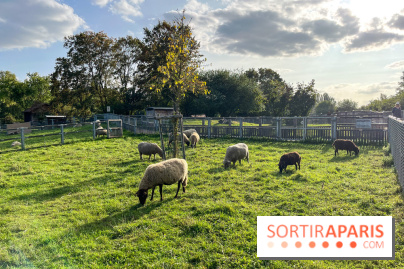 La ferme pédagogique du parc des Chanteraines - image00045