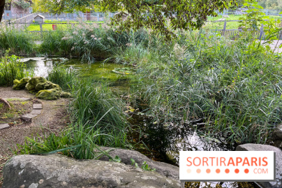 La ferme pédagogique du parc des Chanteraines - image00040