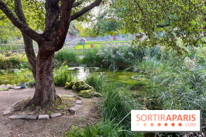 La ferme pédagogique du parc des Chanteraines - image00041