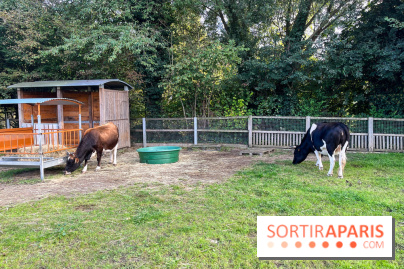 La ferme pédagogique du parc des Chanteraines