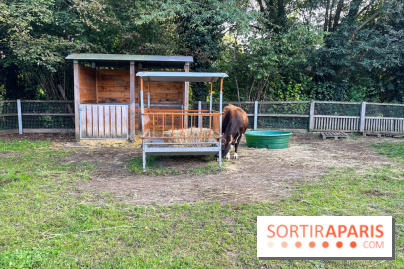 La ferme pédagogique du parc des Chanteraines - image00030