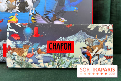 Advent calendar and Christmas chocolates 2023 from Chocolaterie Chapon Advent calendar and Christmas chocolates 2023 from Chocolaterie Chapon