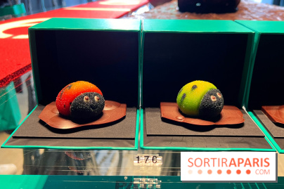 Créations 2023 Patrick Roger