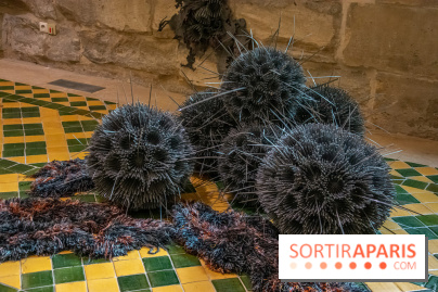 Exposition Entre Les Murs de Tanja Smeets et Karin van Dam Abbaye de Maubuisson