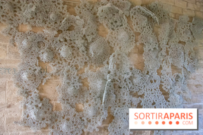 Exposition Entre Les Murs de Tanja Smeets et Karin van Dam Abbaye de Maubuisson