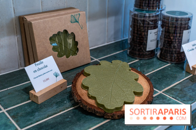 Ginko Pâtisserie  -  chocolat matcha automne