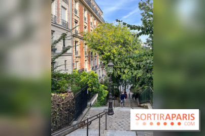Vignes Montmartre