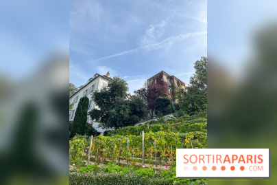 Vignes Montmartre