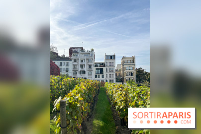 Vignes Montmartre