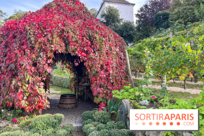 Vignes Montmartre