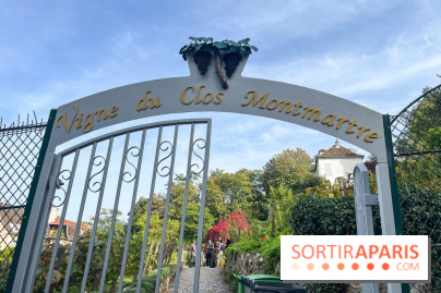 Vignes Montmartre
