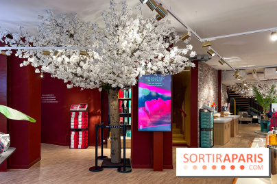 Rituals Mind Oasis - institut de relaxation mentale sur les Champs-Élysées - image00008