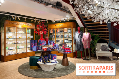 Rituals Mind Oasis - institut de relaxation mentale sur les Champs-Élysées - image00027