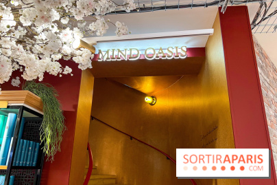 Rituals Mind Oasis - institut de relaxation mentale sur les Champs-Élysées