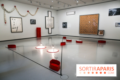 Mike Kelley à la Bourse de Commerce - IMG 1125