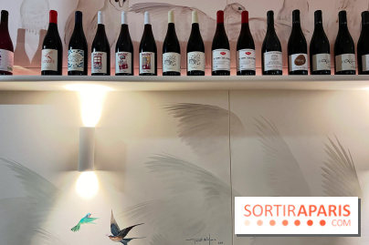 Bourrache - Décoration