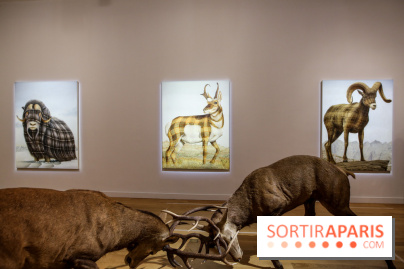 Sean Landers, les photos de son expo au Musée de la Chasse et de la Nature
