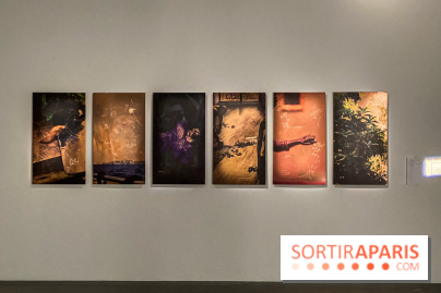 Exposition Hors de la nuit des normes Palais de Tokyo