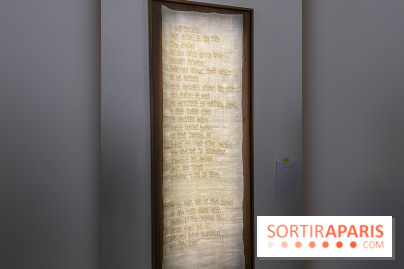 Exposition Hors de la nuit des normes Palais de Tokyo