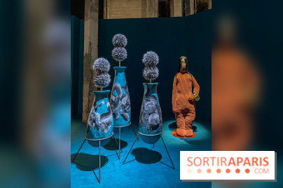 Doppelganger ! expo Jakob Lena Knebl Ashley Hans Scheirl Palais de Tokyo