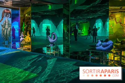 Doppelganger ! expo Jakob Lena Knebl Ashley Hans Scheirl Palais de Tokyo