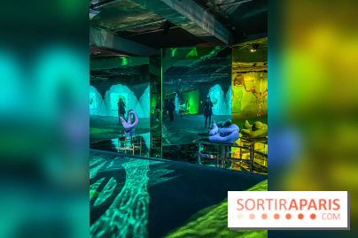 Doppelganger ! expo Jakob Lena Knebl Ashley Hans Scheirl Palais de Tokyo