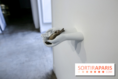 Expo Elmgreen & Dragset à la Galerie Perrotin, nos photos - IMG 1368