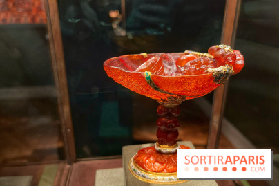 Trésors de la Mer Baltique - IMG 5797