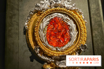 Trésors de la Mer Baltique - IMG 5824