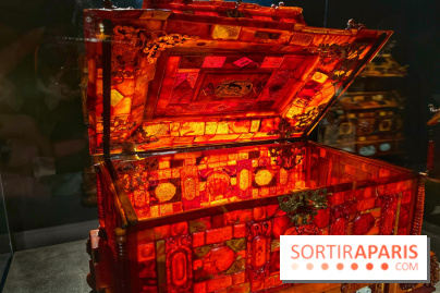 Trésors de la Mer Baltique - IMG 5830