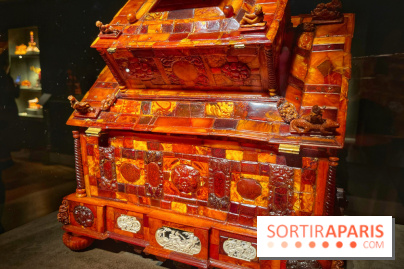 Trésors de la Mer Baltique - IMG 5835