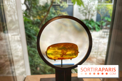 Trésors de la Mer Baltique - IMG 5838