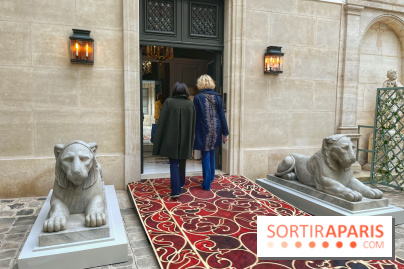 Trésors de la Mer Baltique - IMG 5841