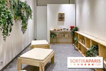 Exposition insolite et gratuite dédiée aux meubles moches  - image00029