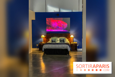 Exposition Lili Reynaud-Dewar Palais de Tokyo