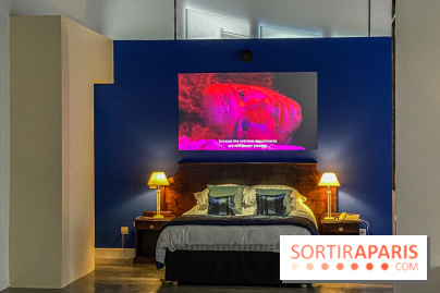 Exposition Lili Reynaud-Dewar Palais de Tokyo