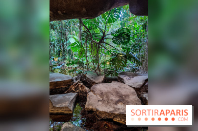 Automne Tropical 2023