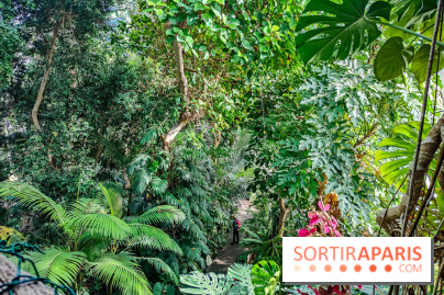 Automne Tropical 2023
