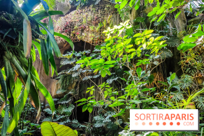 Automne Tropical 2023