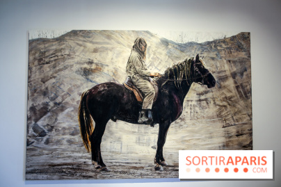 Sara-Vide Ericson : les photos de son expo à l'Institut suédois