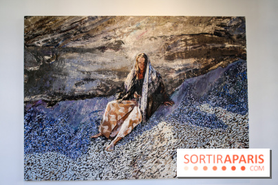 Sara-Vide Ericson : les photos de son expo à l'Institut suédois