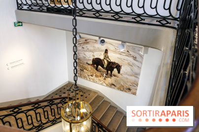 Sara-Vide Ericson : les photos de son expo à l'Institut suédois - IMG 1315