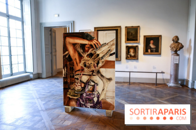 Sara-Vide Ericson : les photos de son expo à l'Institut suédois