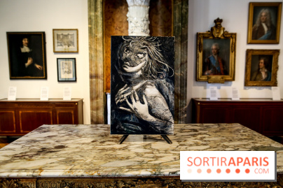 Sara-Vide Ericson : les photos de son expo à l'Institut suédois