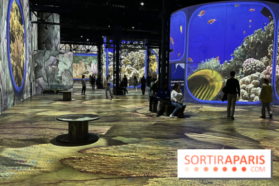 Océans, l'Odyssée Immersive à l'Atelier des Lumières - IMG 6118