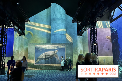 Océans, l'Odyssée Immersive à l'Atelier des Lumières - IMG 6145